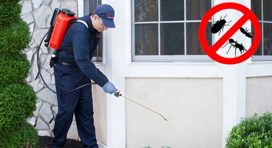 Adapazarı Sivrisinek İlaçlama böcek ilaçlama ve haşere kontrolü — ilaclama-tr.com